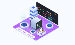 Bash Exit Status Codes